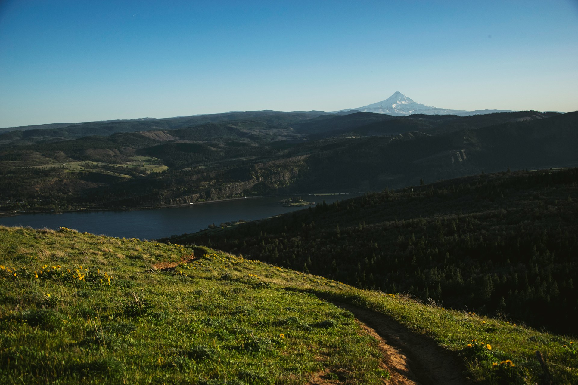View of the Gorge and Mt. Hood in the distance