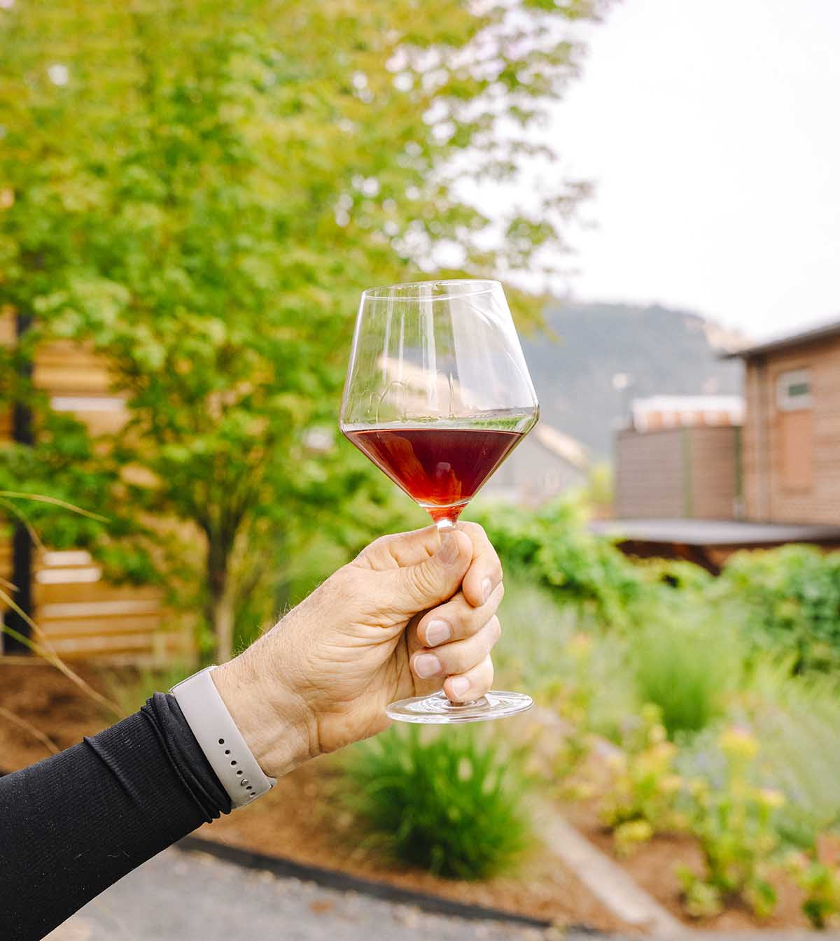 woman holding a glass of wine