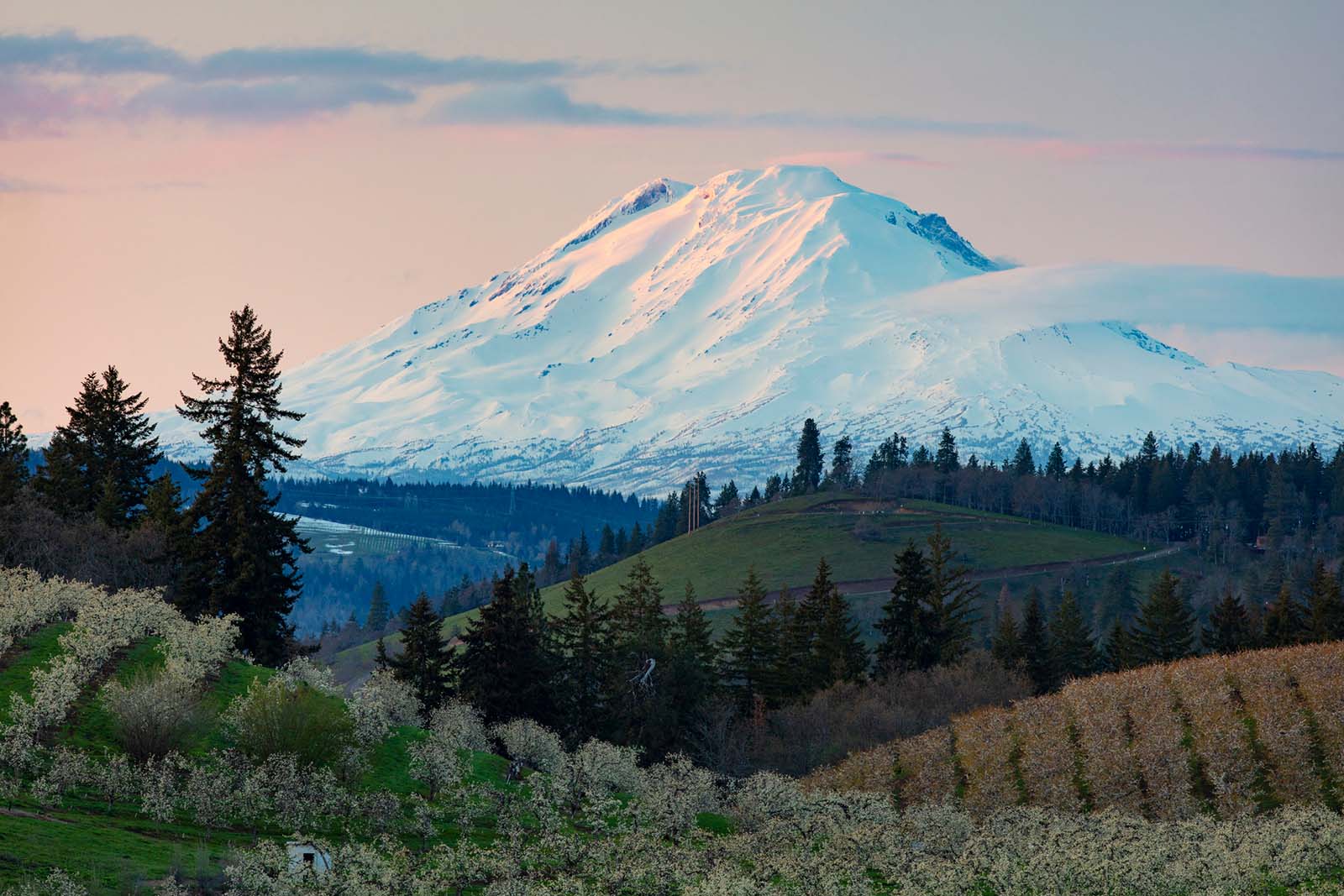 Snowy mount adams from the hood river valley