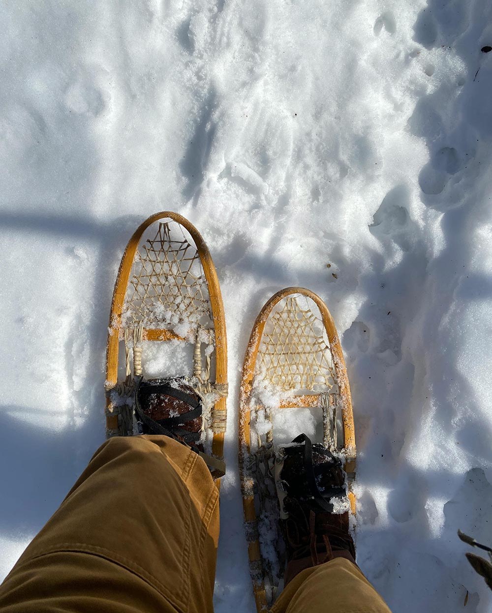 Snowshoes